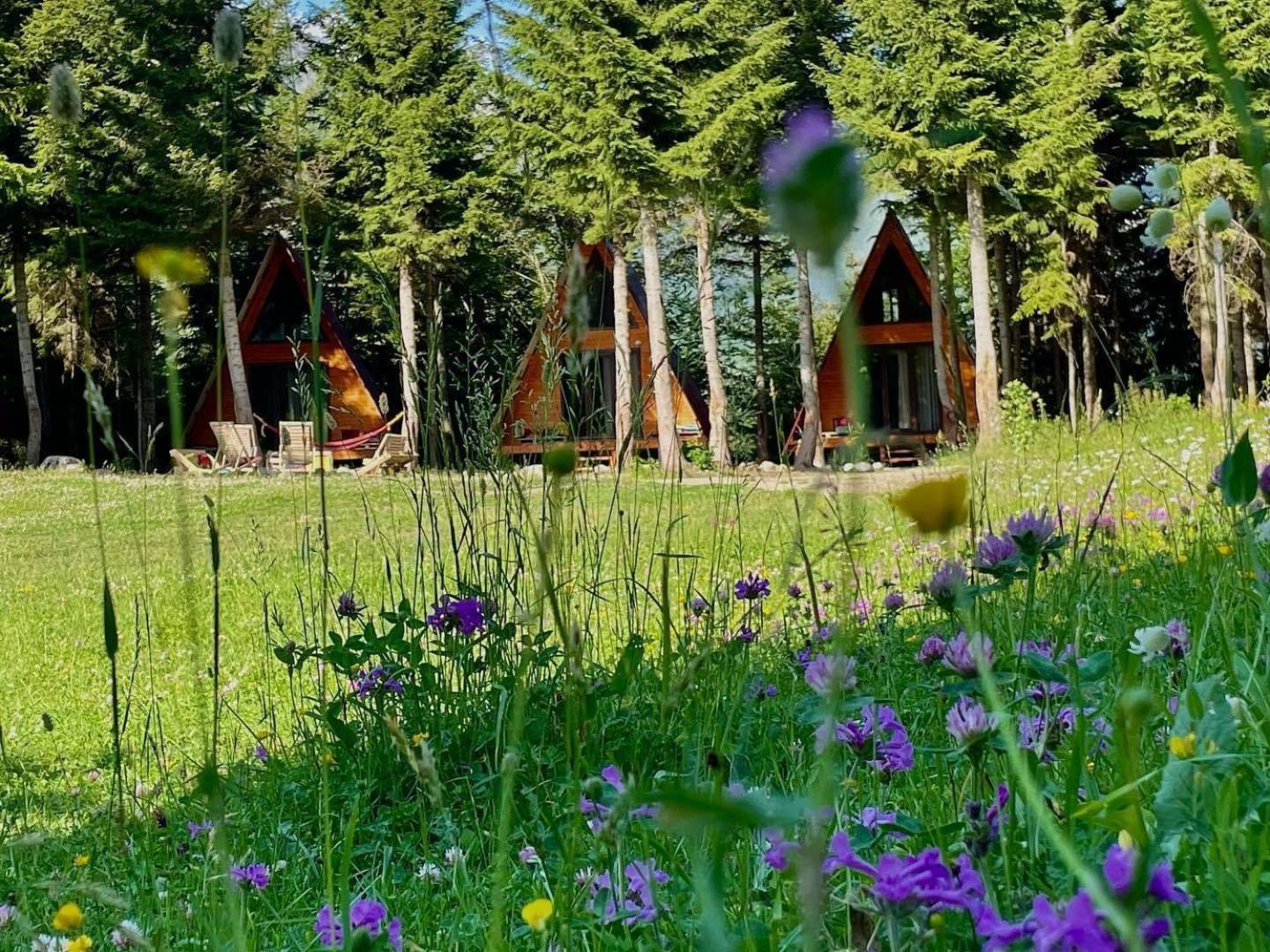 Bude Mestia cottages Esterno foto